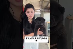 The love for these cute puppies grows day by day #dog #pet #cutedog #puppy #puppylove #cuteanimal