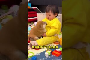 The love for these cute puppies grows day by day #dog #pet #cutedog #puppy #puppylove #cuteanimal