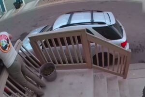 Best Fails of The Week Try Not to Laugh Challenge Last One Ends