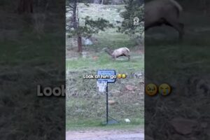 All I see is 3 kids playing ❤️