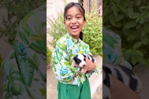 Amaira Ko mila puppy￼ #short #thegeetagurjar ￼