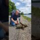 An Unexpected Act of Kindness Rescues a Turtle from Rope #wildlife #animals
