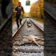 Animal Rescue – Man Saves Deer Seconds Before Train Collision