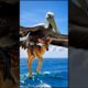🦅 Baby Deer Kidnapped by Eagle – Dog Risks Life in Ocean Rescue! 🌊🐶#telugushorts #telugu #shorts
