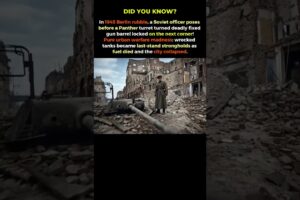 Berlin 1945: When a Panther Tank Became a Deadly Street Gun #shorts  #worldwar2 #usa