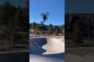 Best of the Year 2025