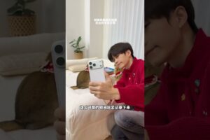 Bought a Giant Cat Bed by Mistake 😂