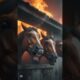 Brave Golden Dog Saves Trapped Horses From Fire 🐶🔥 | AI Rescue Short #emotional #shorts