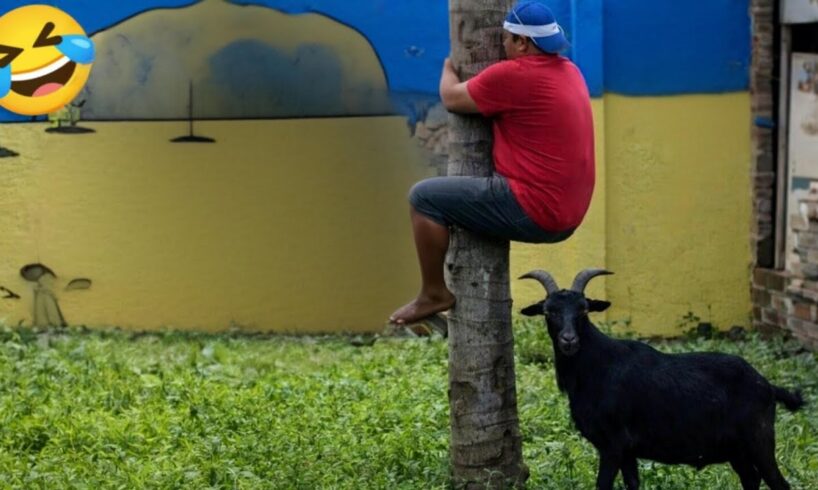 Craziest Fails of the Week 🤯 | Try Not To Laugh Challenge