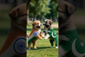 Cute Puppies Playing Funny Video ❤️ #puppy #dog #cute #funny #viral #shorts