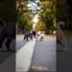 Cute Puppies Playing On The Road #puppy #dog #funny #viral #shorts
