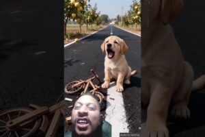 Cute dog gets his child a bicycle 😭 #ai #dog #save #shorts