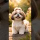 #Cutest Puppies That Will Melt Your Heart #dog #doglove #cute #doglife #lovedogs #funnyvideo #yt #ai