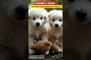 Cutest puppies playing with a teddy bear in jungle #viral #puppies #teddy