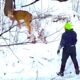 Deer Thanks Hero After Brave Rescue