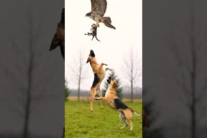 Everyone Thought the Kitten Was GONE Until This! #rescue #animals #viral