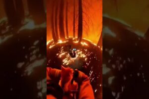 Firefighter Rescue A Cat From  Forest Fire But His Dog Doesn't Survive!
