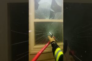 Firefighter Rescues Dog From Flooded House!