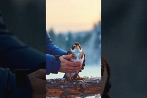 Frozen Bird Saved From Ice – A Miracle Rescue #shorts #ytshorts #trendingshorts