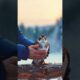Frozen Bird Saved From Ice – A Miracle Rescue #shorts #ytshorts #trendingshorts