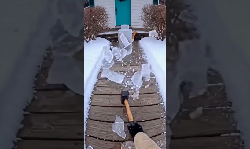 Frozen Cats Trapped in Ice Block 🧊❄️ #rescue #animals