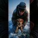 “Frozen Lake Rescue 🥶 | Brave Dog Saved from Icy Death ❤️ | Emotional Animal Rescue Story” #animals