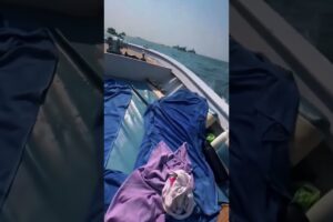 Funniest Fails of The Week 😂