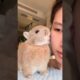Funny Bunny With Crazy Moments #pets #bunny #rabbit #animals #shorts #petcare #petvideos #fyp