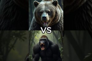 Gorilla VS Animals (tiger, lion, elephant)