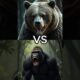 Gorilla VS Animals (tiger, lion, elephant)