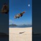 Guy Does Amazing Flips on Slackline
