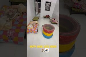 Happy Small Dogs Playing Indoors 🐾 | Oma Pet Boarding