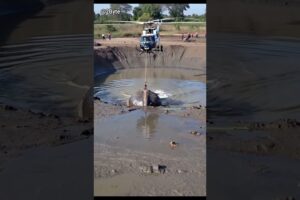 Helicopter Rescue - Saving a Stuck Elephant from Muddy Trap