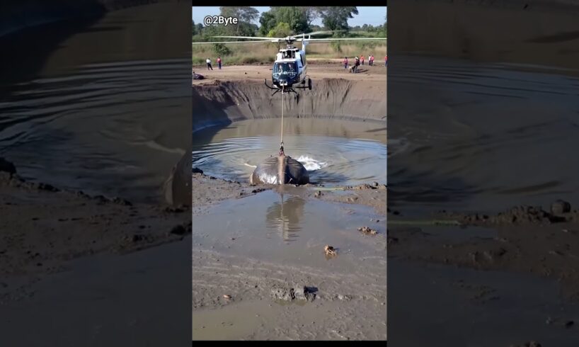 Helicopter Rescue - Saving a Stuck Elephant from Muddy Trap