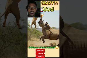 “Hilarious Animal Fights Compilation 🐶🐱😂 – Top Funny Pet Battles #1”#short