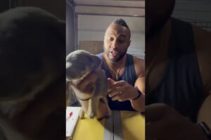 How often to feed puppies?!