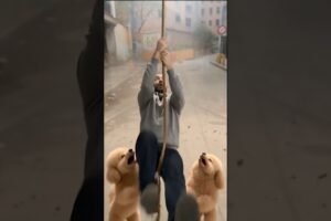 I tried to escape from the cute puppies! #puppy #puppylife #mindgames #funny #shorts