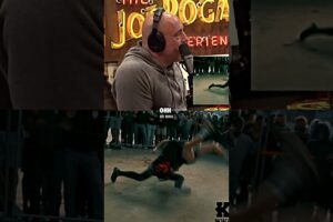 😱Joe Rogan Reacts to Brutal Street Fights🩸