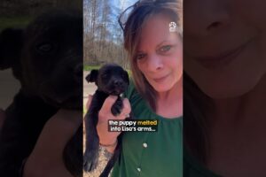 Kind Woman Rescues Puppy Left in a Dump