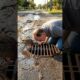 Kindhearted Scene — Man Rescues a Mother Duck and Her Ducklings from a Storm Drain #duck