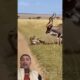 Kudu Fights Back! Antelope vs Hyena BattleGoes WILD#viral #shorts