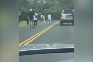 Large street fight shuts down Hilo road
