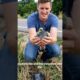 Man Rescues Baby Pigeon on the Side of the Road 🐦❤️ | Emotional Animal Rescue