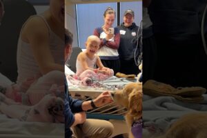 My therapy dogs visit the Children’s Hospital