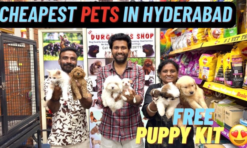NEW CHEAPEST PUPPIES IN HYDERABAD | FREE KIT | TELUGU | RABBIT | DOGS