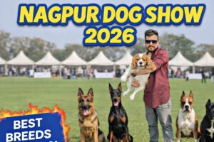 Nagpur Dog Show 2026 😍 | Cutest Puppies & Rare Dog Breeds!