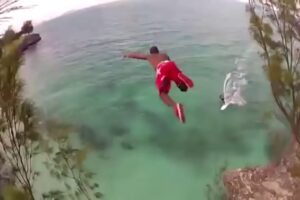 Near-Death Experiences Caught on Camera