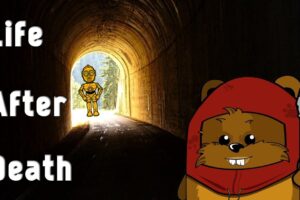 Near Death Experiences Explained - Truth About NDEs