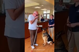 Nobody wanted to adopt this dog because it was ugly...until a blind man came 🥺 #shorts