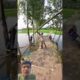 OMG 😱😱|#jkzaid #shorts #fishing